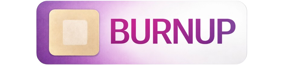BURNUP LOGO